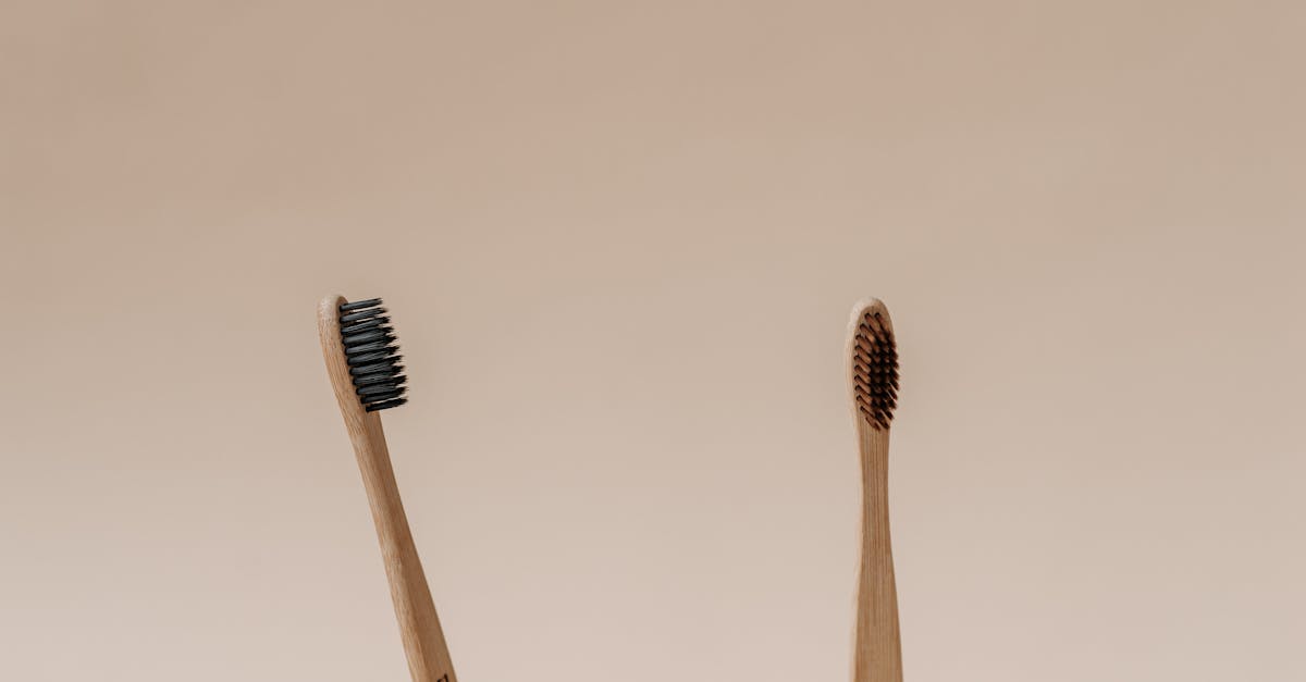 découvrez comment adopter un mode de vie éco-responsable avec nos conseils pratiques et astuces pour réduire votre empreinte carbone. engagez-vous pour un avenir durable et respectueux de l'environnement.