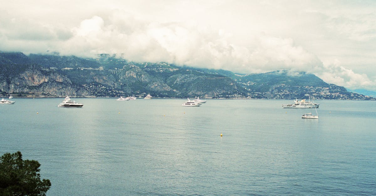 découvrez le statut de résident à monaco et les avantages liés à ce statut. informations essentielles pour vivre et s'installer à monaco.