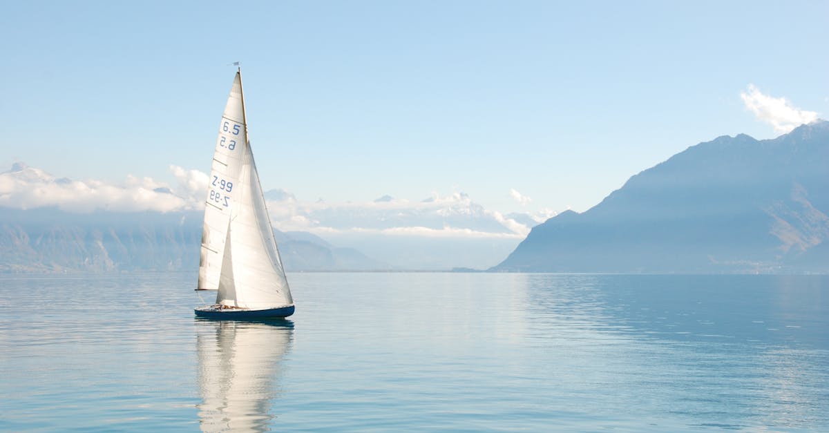 découvrez notre service professionnel d'installation de voiles d'ombrage. offrez à votre espace extérieur protection contre le soleil tout en ajoutant une touche esthétique. profitez d'une installation rapide et de qualité pour votre jardin, terrasse ou piscine.