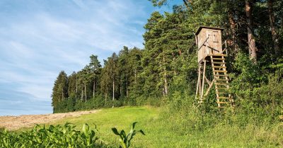 découvrez nos solutions de refuges temporaires, idéales pour répondre à vos besoins d'hébergement d'urgence ou lors d'événements extérieurs. conçus pour offrir confort et sécurité, nos abris sont faciles à installer et adaptés à diverses situations.