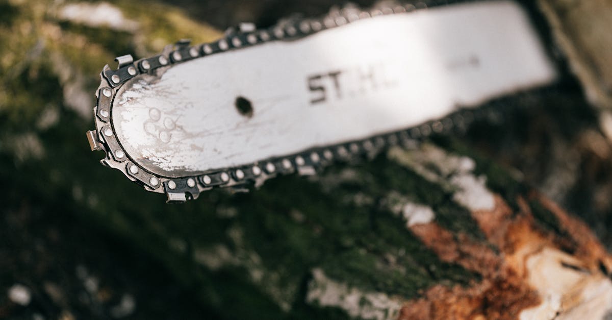 découvrez notre guide complet sur les tronçonneuses : conseils d'achat, astuces d'entretien et meilleures pratiques pour un usage en toute sécurité. que vous soyez professionnel ou amateur, trouvez la tronçonneuse qui répond à vos besoins !