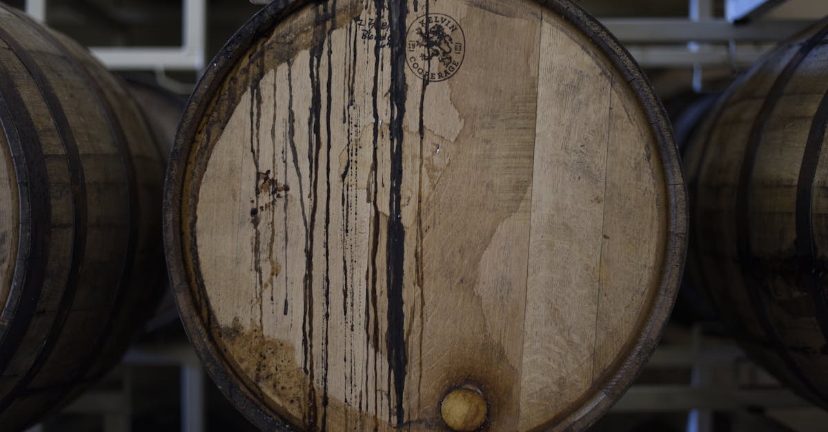 découvrez le monde fascinant des fûts, leur fabrication, leurs usages variés dans la cuisine, la bière, et le vin. plongez dans l'art de l'élevage en fût et les nuances qu'il apporte aux différentes boissons.