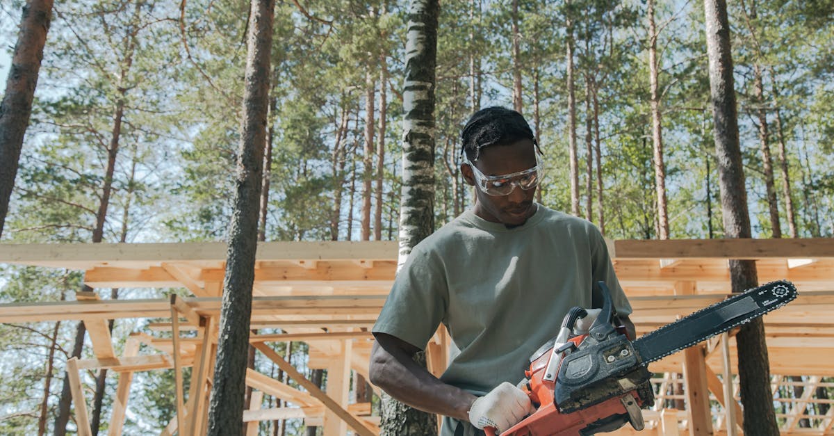découvrez notre large sélection de tronçonneuses performantes, idéales pour les professionnels comme pour les amateurs de jardinage. profitez de conseils d'experts et de prix compétitifs pour entretenir vos espaces verts avec efficacité.