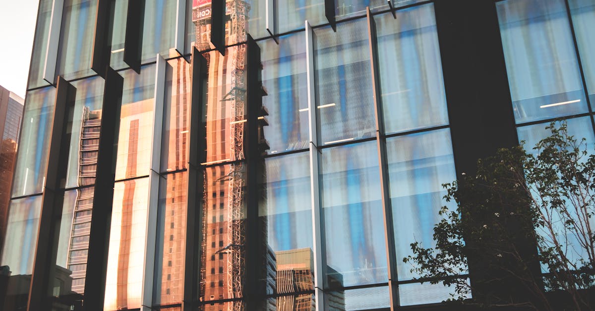 découvrez tout ce qu'il faut savoir sur la taxe de développement, ses implications pour les projets immobiliers, et comment elle peut influencer le financement et la durabilité des infrastructures. informez-vous sur les réglementations et les avantages d'une bonne gestion fiscale.