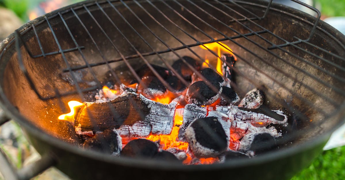 découvrez l'art du barbecue avec nos conseils, recettes et astuces. que vous soyez un grillardin amateur ou un chef expérimenté, trouvez tout ce qu'il vous faut pour préparer des viandes savoureuses et des accompagnements irrésistibles lors de vos repas en plein air.