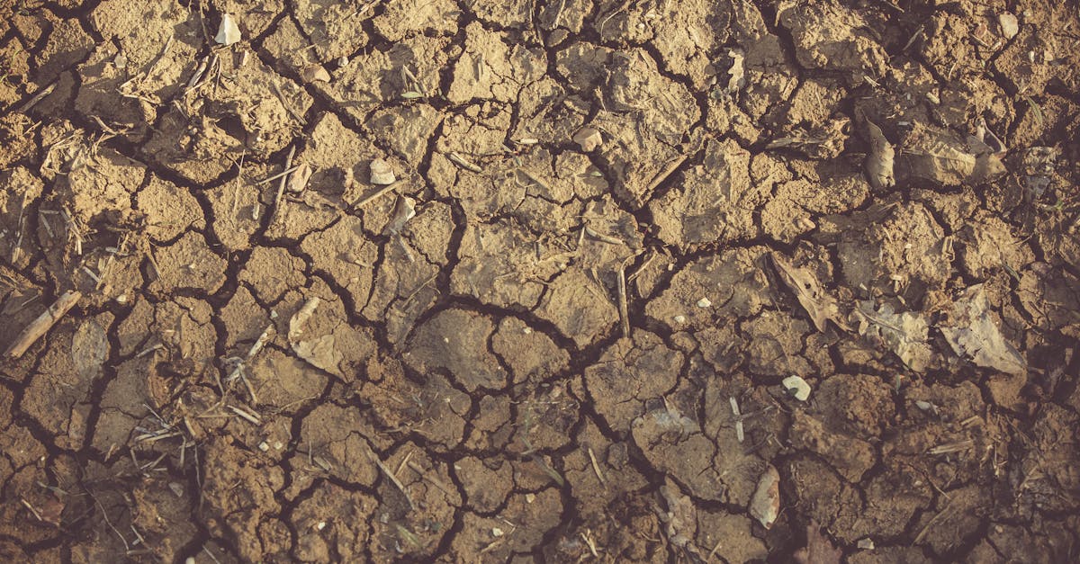 découvrez tout ce que vous devez savoir sur les terrains non desservis : définition, avantages, et conseils pour l'acquisition. idéal pour les investisseurs ou ceux cherchant à développer leur projet immobilier dans des zones rurales ou peu urbanisées.