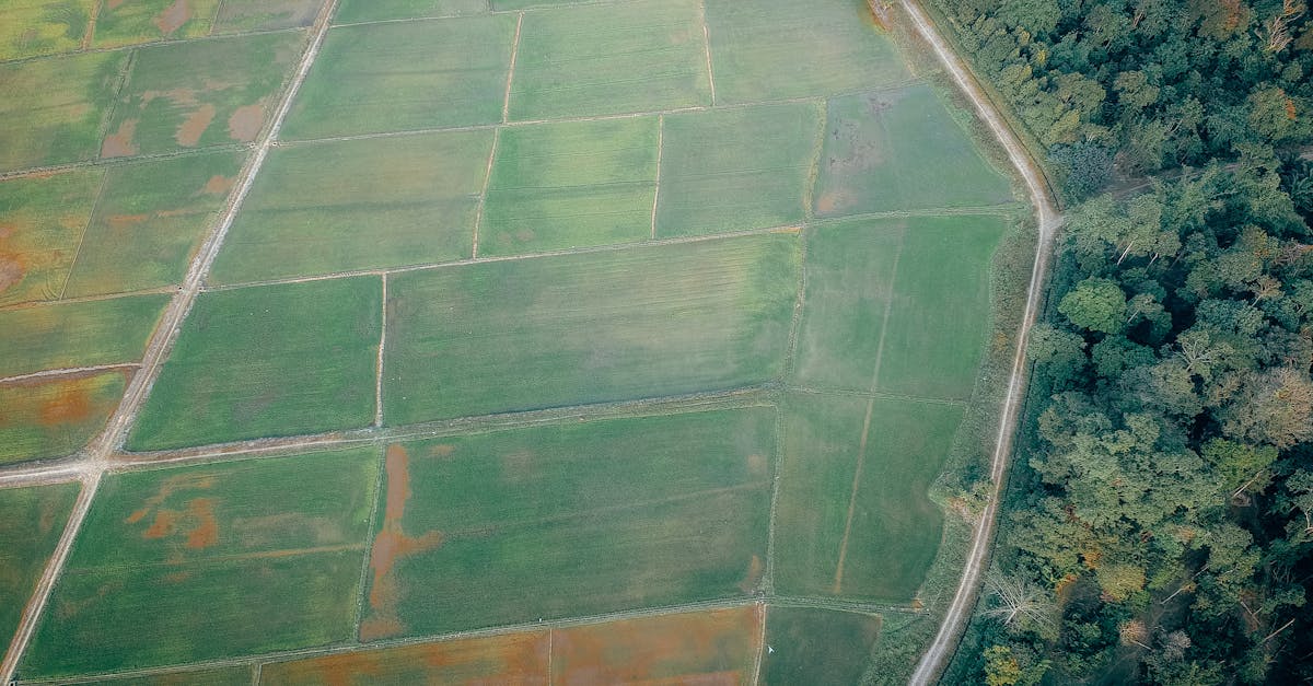 découvrez les différentes techniques de division des terres, les enjeux juridiques et environnementaux, ainsi que les meilleures pratiques pour optimiser l'utilisation de l'espace. apprenez comment la division des terres peut influencer l'aménagement du territoire et le développement durable.