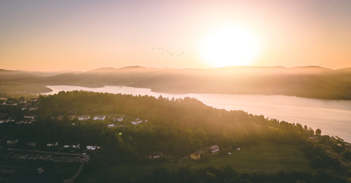 découvrez les terres non desservies, idéales pour des projets de construction innovants ou des investissements fonciers. explorez les avantages et opportunités qu'offrent ces parcelles en dehors des zones urbanisées.